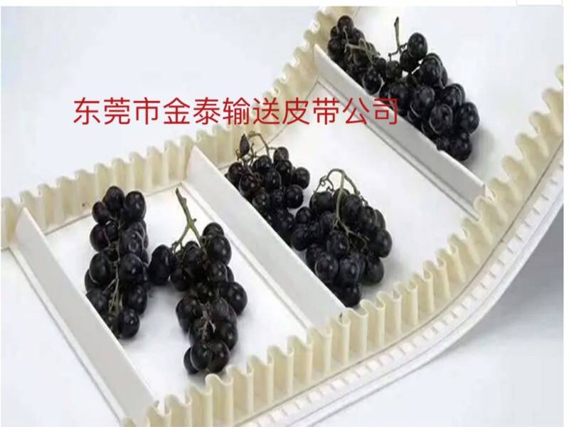 硅膠輸送帶應用場所7